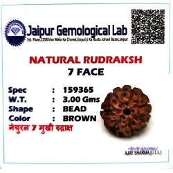 7 Mukhi Indonesia Rudraksha – Original & Certified Saat Mukhi Bead 7 Mukhi Indonesia Rudraksha – Original & Certified Saat Mukhi Bead